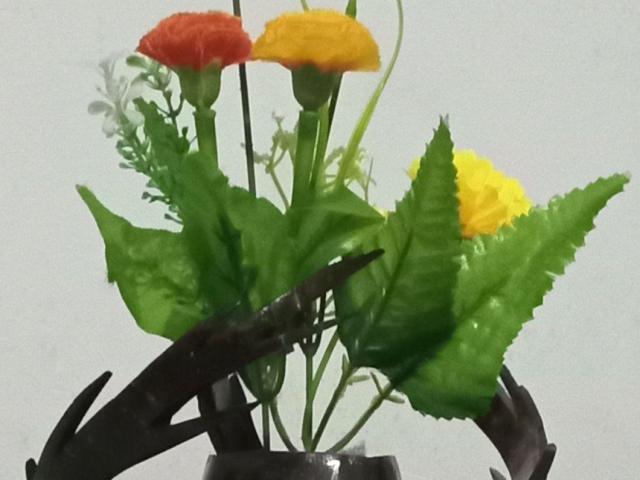 Coconut shell flower pot