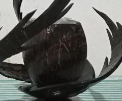 Coconut shell flower pot